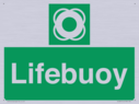 lifebuoy-with-symbol~